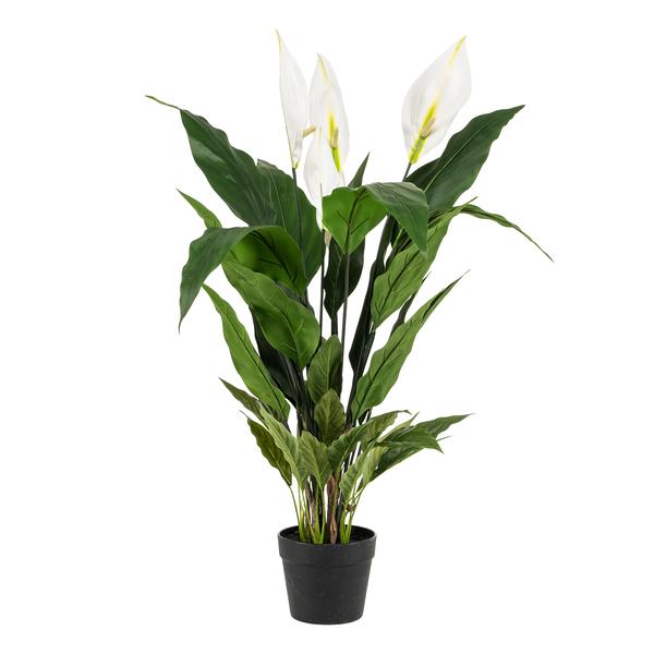 Livraison plante Spathipyllum - fleur de lune artificiel