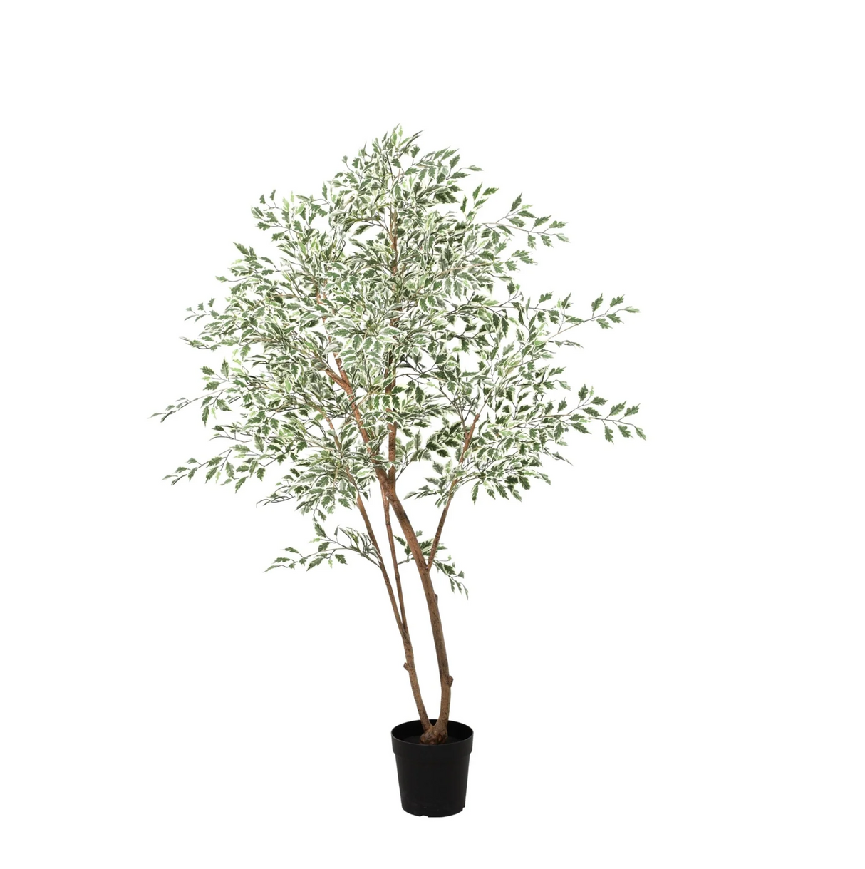 Ficus Benjamina Variegata plante artificielle