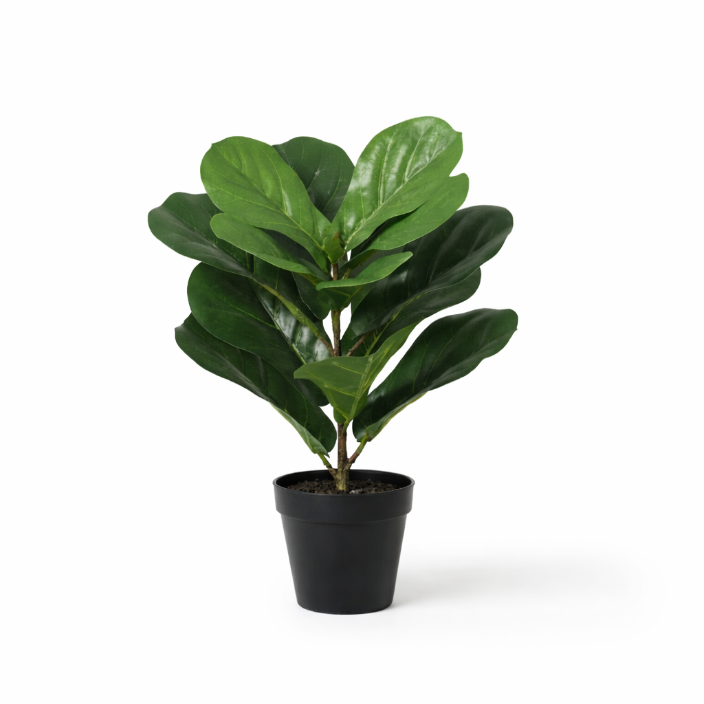 Ficus Lyrata plante artificielle