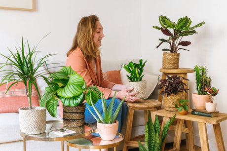 3 conseils pour prendre soin de vos plantes cet été - La Green Touch