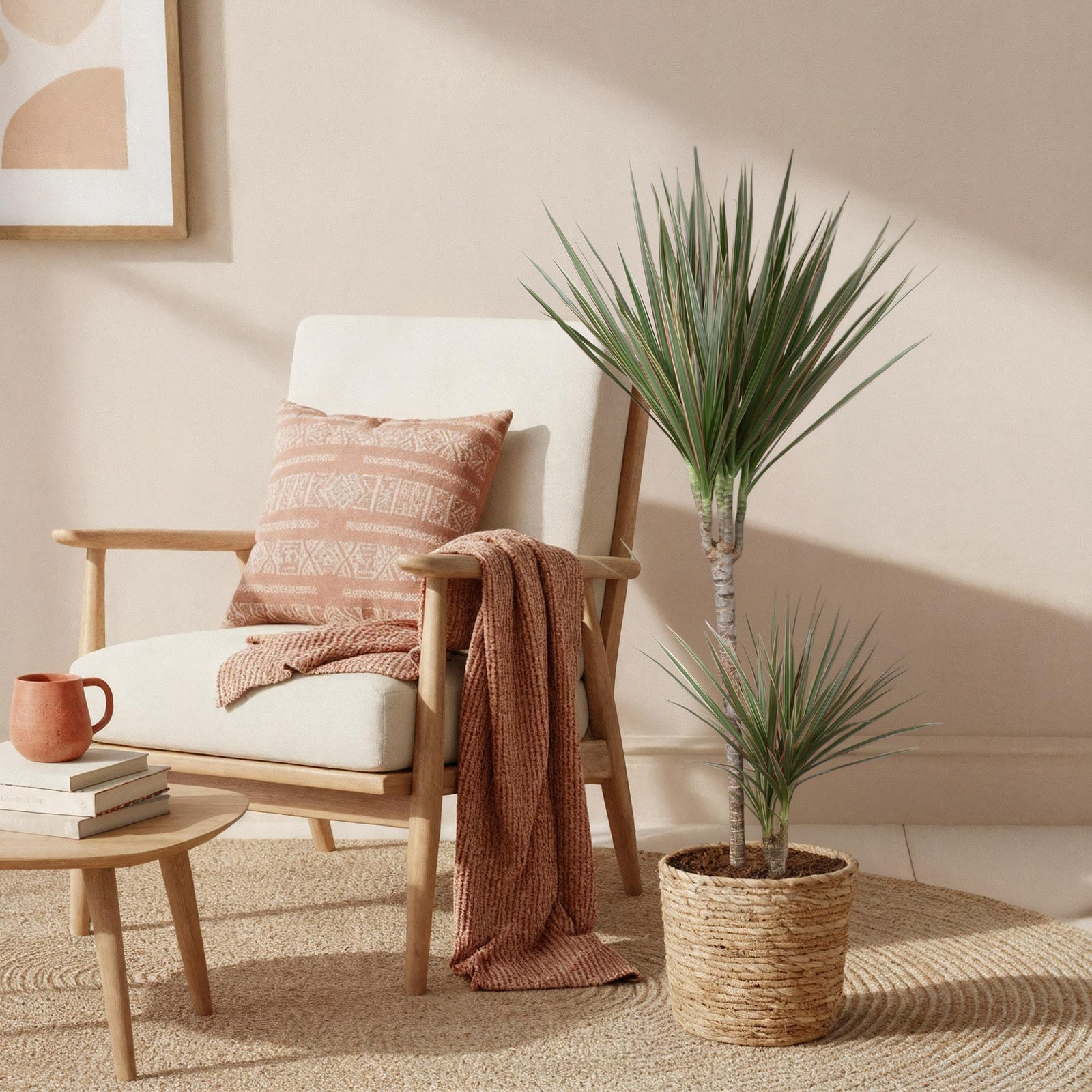 Entretien - Dracaena Marginata Bicolor: Guide pratique - La Green Touch