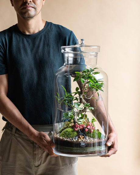 Nos 4 conseils pour prendre soin de votre terrarium pendant l'été. - La Green Touch