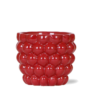 Pot en céramique rouge pour plantes d'intérieur