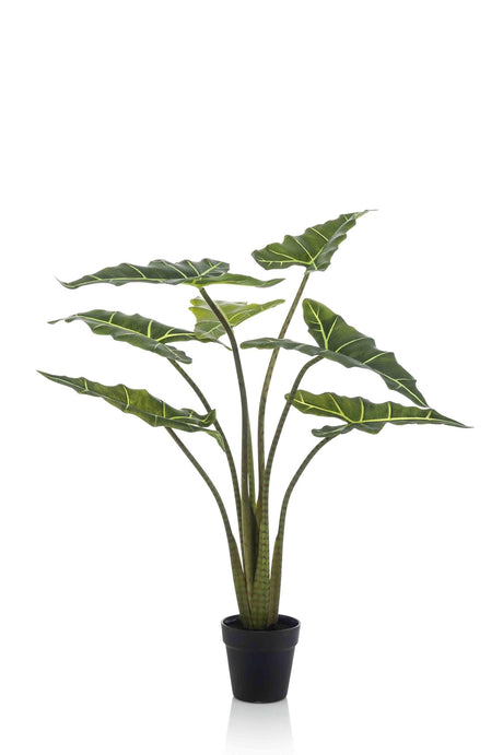 Livraison plante Alocasia plante artificielle - h90cm, Ø14cm