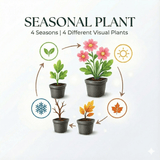 Livraison plante Ancolie commune vilgaris