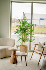 Livraison plante Bambou artificiel