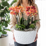 Livraison plante Bouquet Jungle Orange avec Orchidées et Rhipsalis en Bol Auto - arrosant