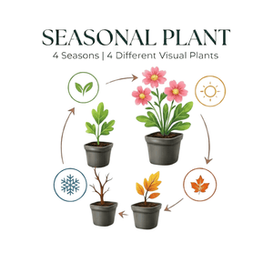 Livraison plante Brunnera Jack frost