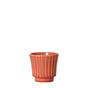 Livraison plante Cache - pot terracotta - Ø6cm