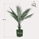Livraison plante Chamaedorea artificiel - h50cm, Ø15cm