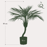 Livraison plante Chamaedorea plante artificielle - h85cm, Ø12cm