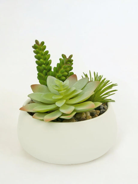 Livraison plante Composition artificielle de succulentes