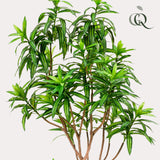 Livraison plante Dracaena plante artificielle - h190cm, Ø17cm