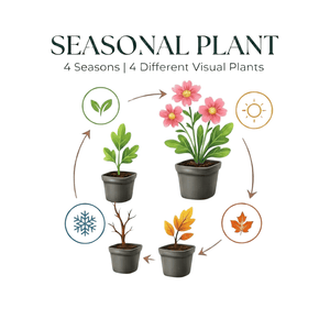 Livraison plante Fetuque de gautier