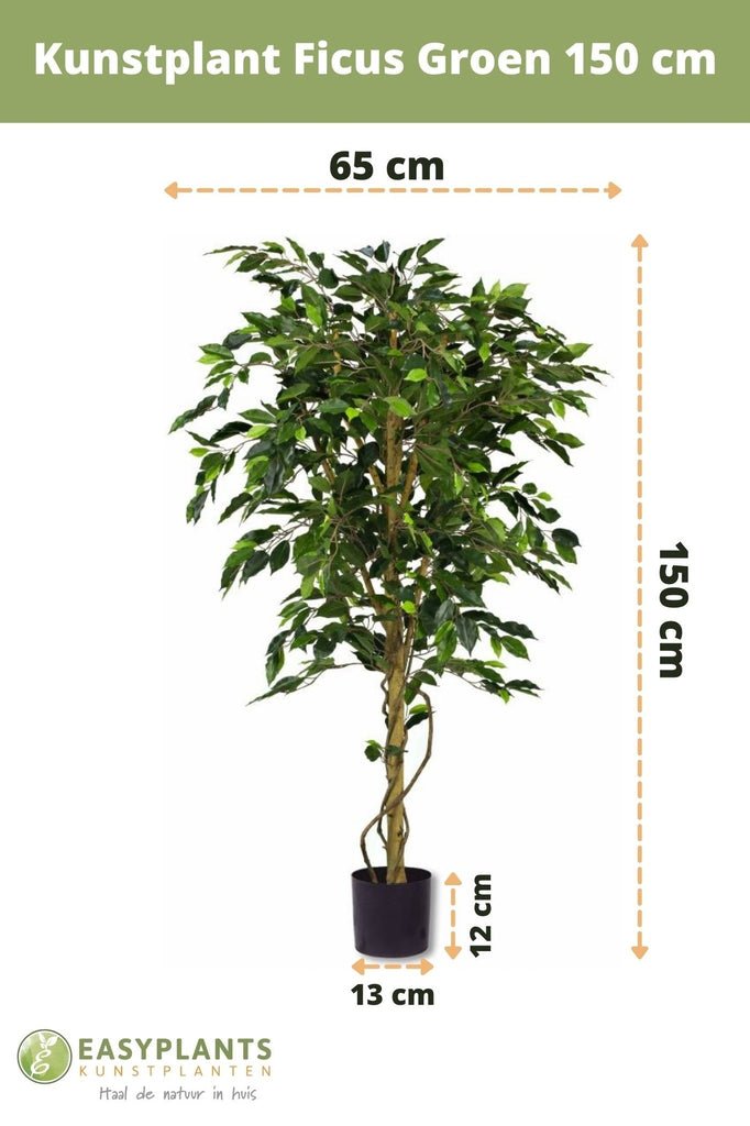 Livraison plante Ficus Vert - Arbre artificiel