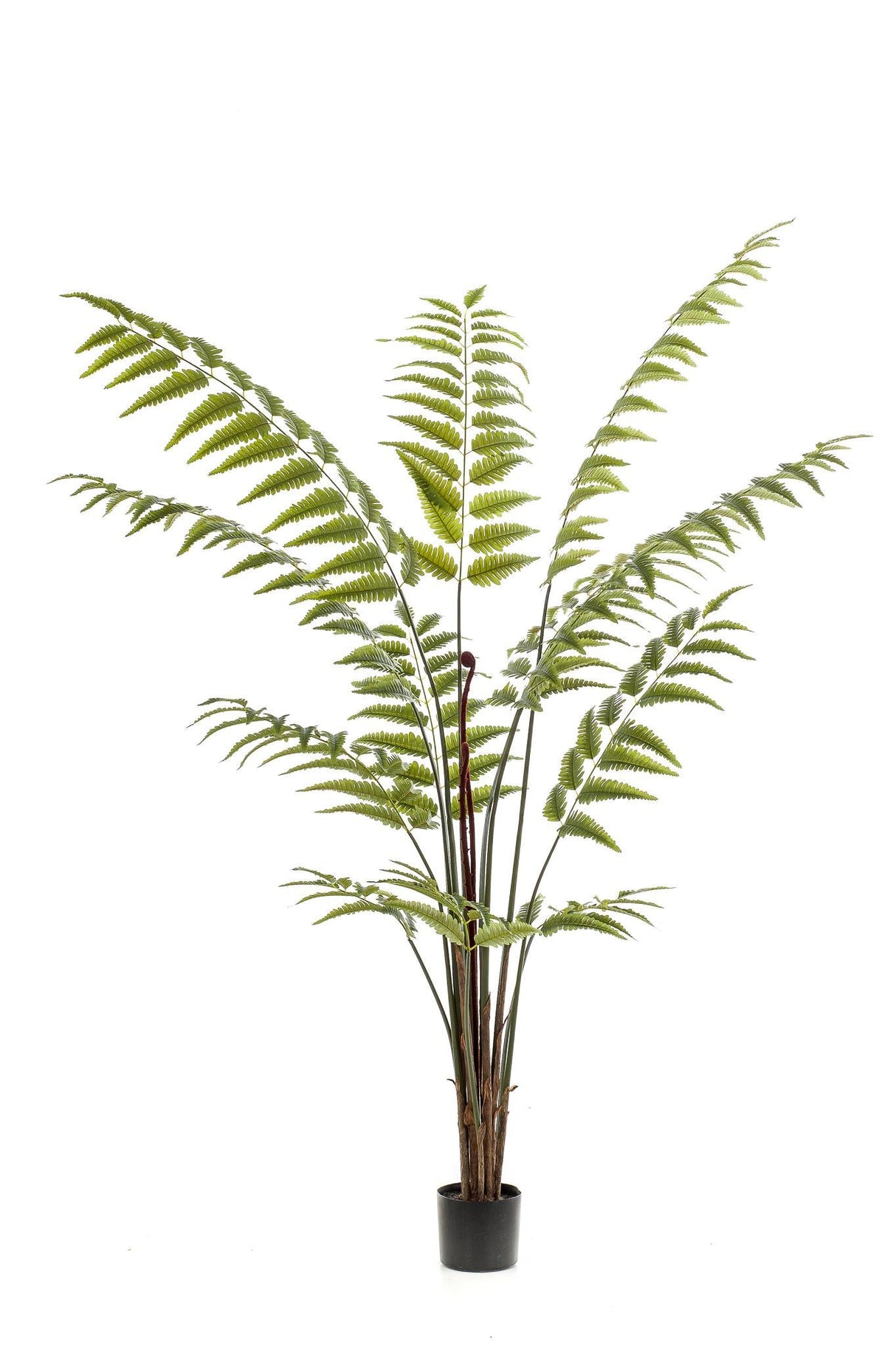 Livraison plante Fougère plante artificielle - h180cm, Ø17cm