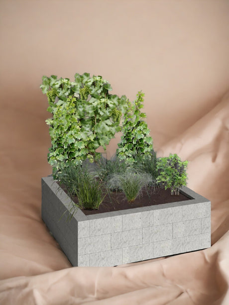 Livraison plante Kit DIY jardin de ville 1m2