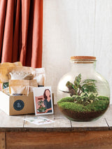 Livraison plante Kit Terrarium DIY - BAOBAB