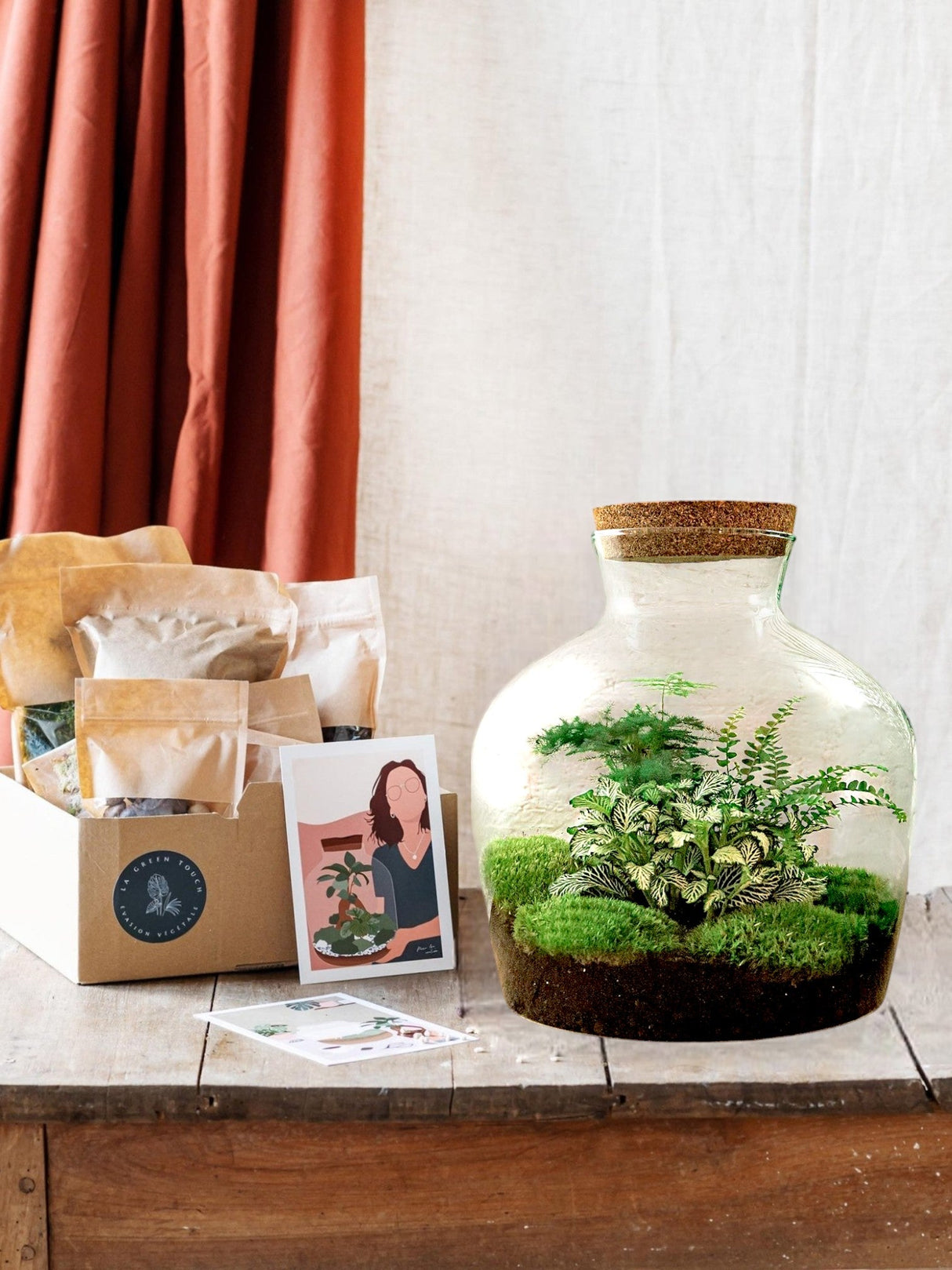 Livraison plante Kit Terrarium DIY - JOY