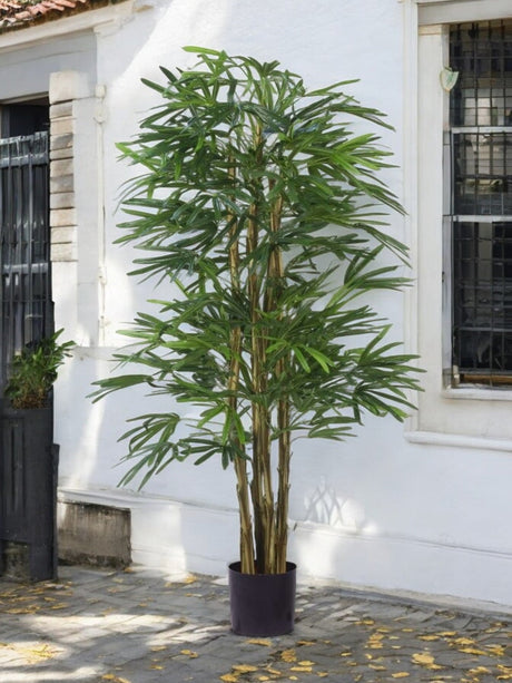 Livraison plante Lady Palm - Bambou artificiel