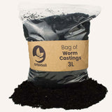 Livraison plante Lombri - compost - 3L