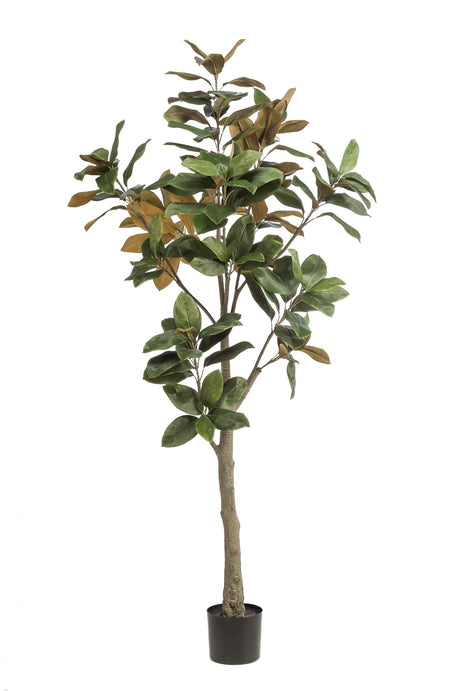 Livraison plante Magnolia Grandiflora plante artificielle - h180cm, Ø15cm