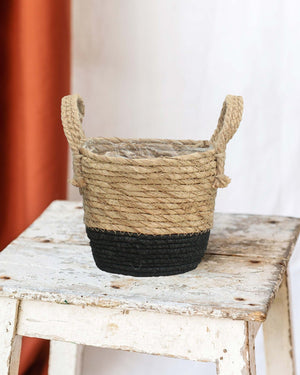 Mand Java Pot de Plante 17 cm