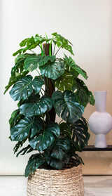 Livraison plante Monstera Deliciosa plante artificielle - h150cm, Ø12cm