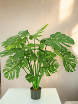 Livraison plante Monstera Deluxe - Grande plante artificielle