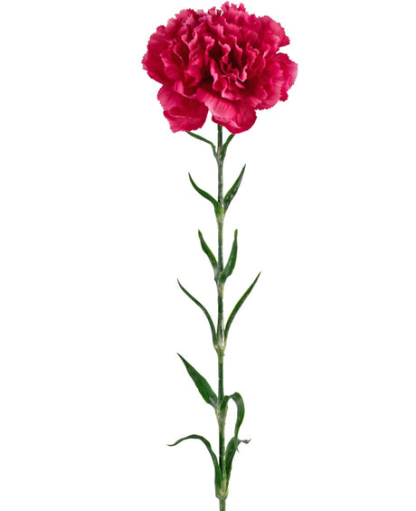 Livraison plante Œillet artificiel rose vif