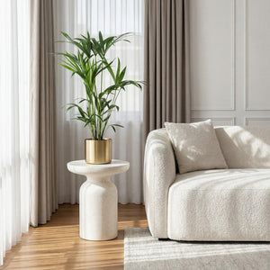 Livraison plante Palmier Kentia – Lot de 2 – Pot 19 cm – Hauteur 80 cm