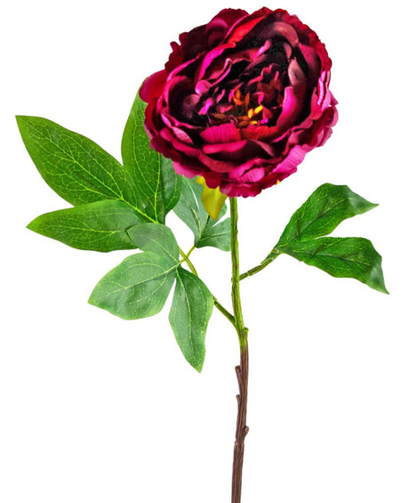 Livraison plante Pivoine Artificielle Aubergine