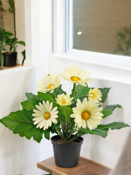 Livraison plante Plante artificielle Gerbera blanc