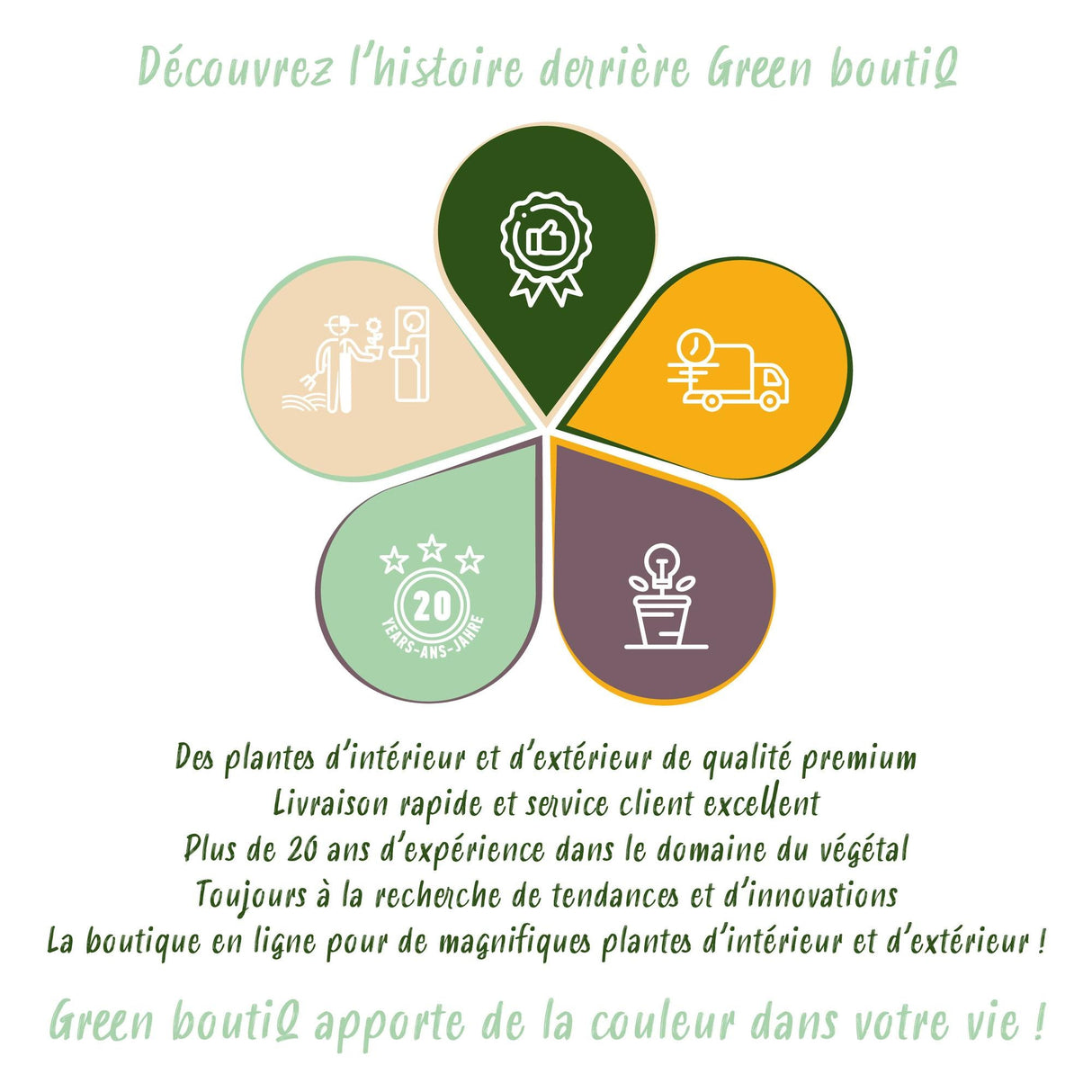 Livraison plante Plantes fruitières Rainbow – Lot de 4 – Pot 9 cm