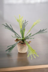 Livraison plante Platycerium plante artificielle - h33cm, Ø15cm