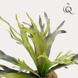 Livraison plante Platycerium plante artificielle - h50cm, Ø15cm