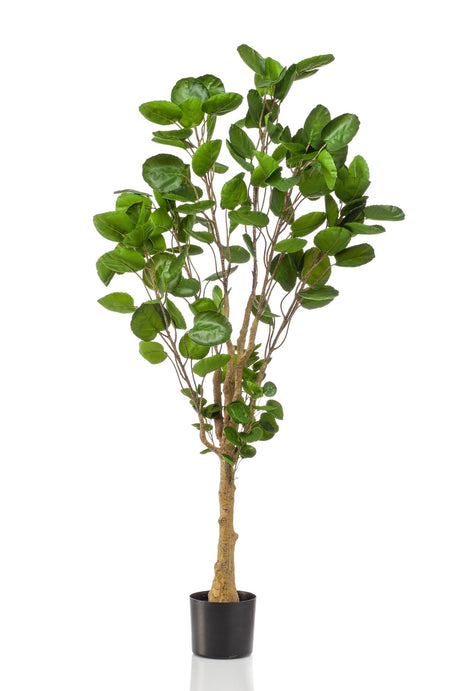 Livraison plante Polyscias Aralia plante artificielle - h150cm, Ø12cm