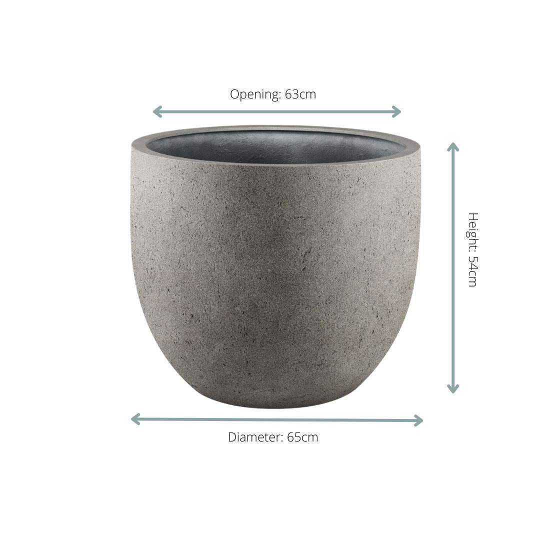 Livraison plante Pot Grigio New Egg béton 65 cm