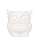 Livraison plante Pot Hibou - Sierpot en céramique blanche