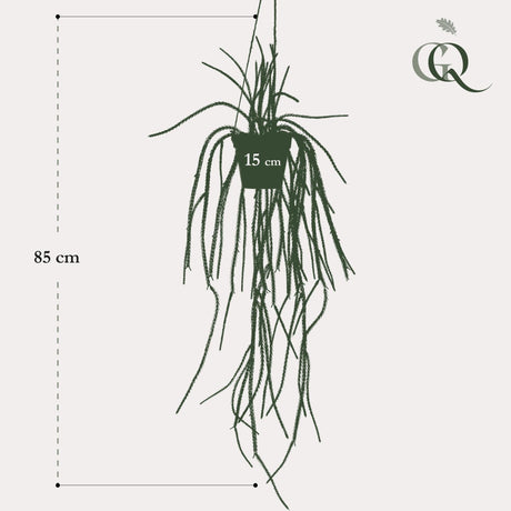 Livraison plante Rhypsalis Coral Cactus plante artificielle - h85cm, Ø15cm