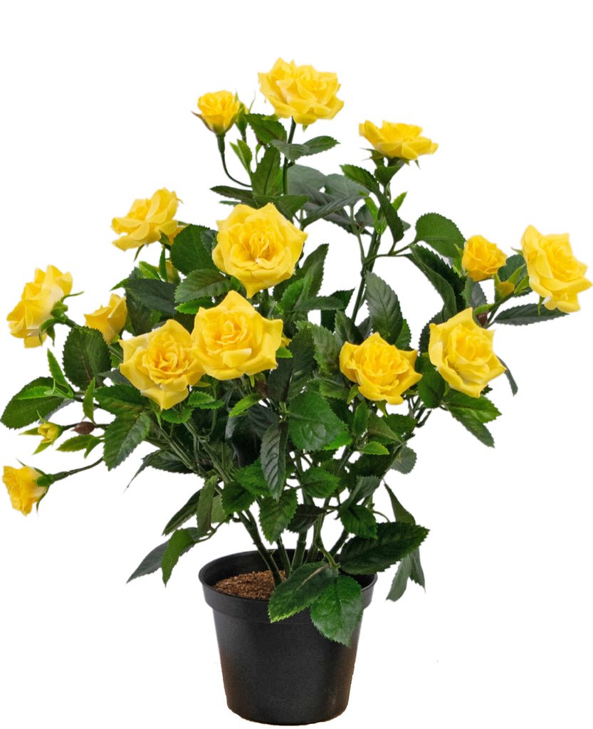 Livraison plante Rose Miniature Jaune Artificielle