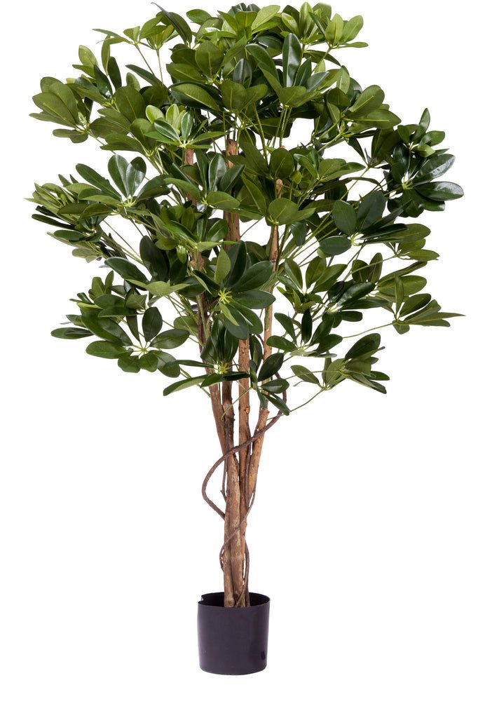 Livraison plante Schefflera - Arbre artificiel