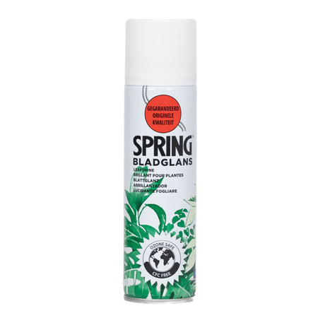 Livraison plante Spray brillant pour plante - 250 ml