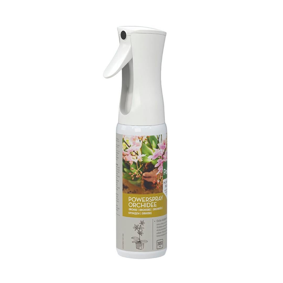 Livraison plante Spray Hydratant Brillance pour Orchidées