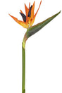 Livraison plante Strelitzia rouge/violet - Branche fleurie artificielle