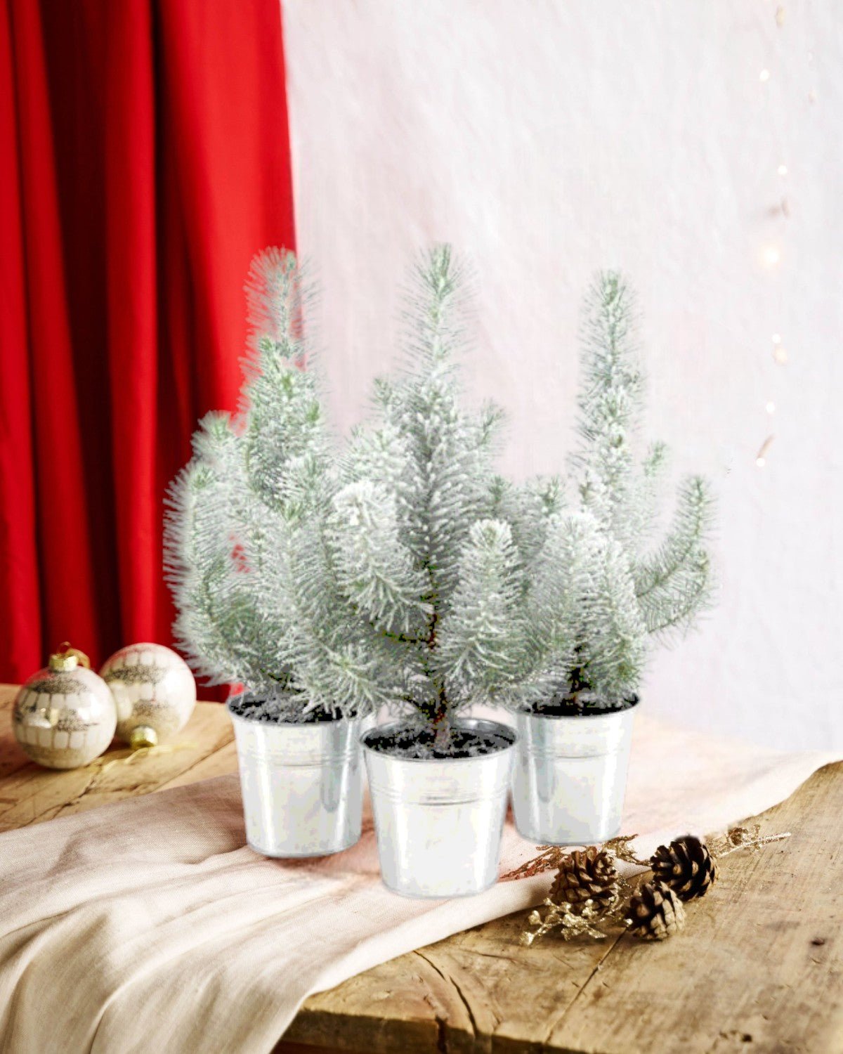 Livraison plante Trio de Sapins de Noël enneigés et leur pot