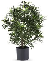 Podocarpus - Plante verte artificielle