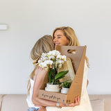 Orchidée Phalaenopsis orange Mineral Bolzano et succulente - coffret Allure blanc