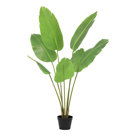 Strelitzia Nicolai plante artificielle