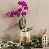 Orchidée Phalaenopsis violette Chamonix avec cache-pot Allure doré - H 40 cm, pot Ø9 cm